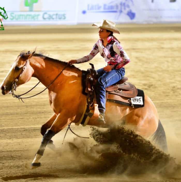 Associazione Italiana Equitazione western 2024