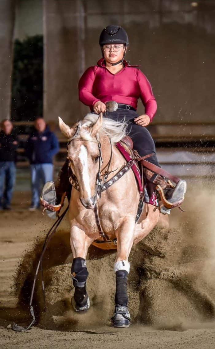 Associazione Italiana Equitazione western 2024
