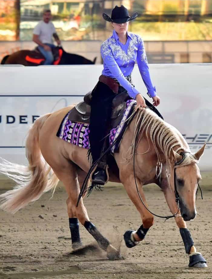 Associazione Italiana Equitazione western 2024