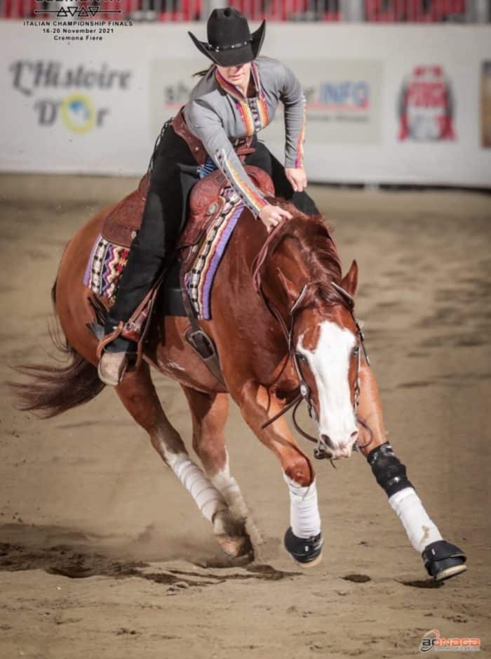 Associazione Italiana Equitazione western 2024